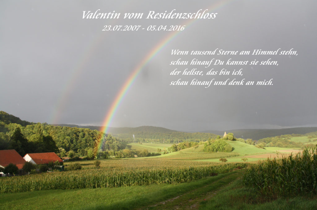 valentin